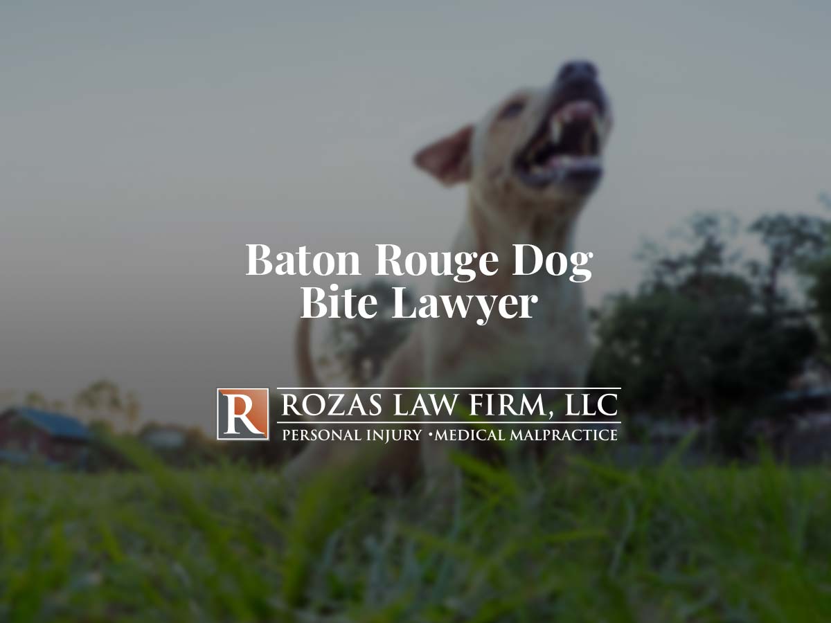 Baton Rouge Dog Bite Lawyer | Rozas Personal Injury Law