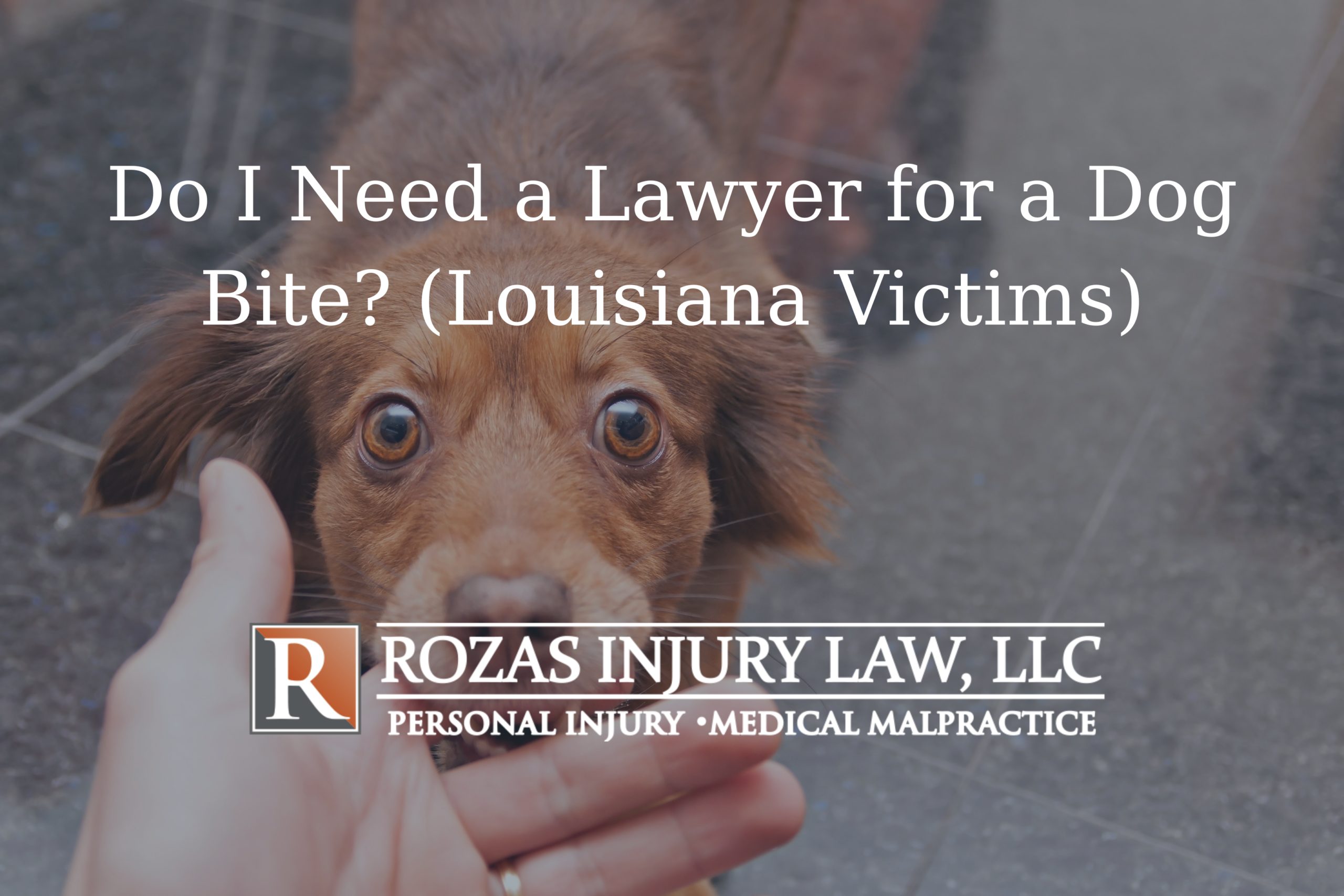 Do I Need a Lawyer for a Dog Bite? Guide for Louisiana Victims